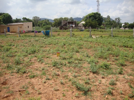 4) Ventures Near Srikalhasthi.JPG